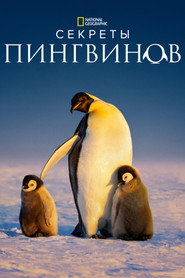 Тайны пингвинов (сериал, 2025)