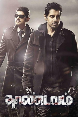 Слепой (фильм, 2012)