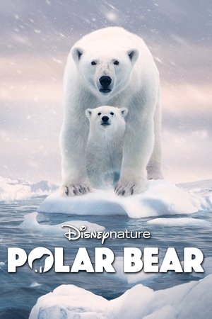 Полярный медведь (фильм, 2022)