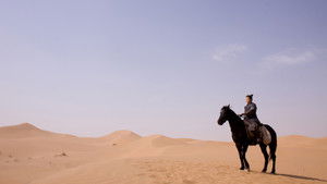 Мулан (фильм, 2009)