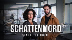 Убийство в тени: Среди врагов (фильм, 2025)